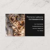 Carte De Visite Exterminateur de parasites pour guêpes à cornets l (Dos)