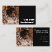 Carte De Visite Exterminateur de parasites pour guêpes à cornets l (Devant / Derrière)