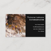 Carte De Visite Exterminateur de parasites pour guêpes à cornets l (Dos)
