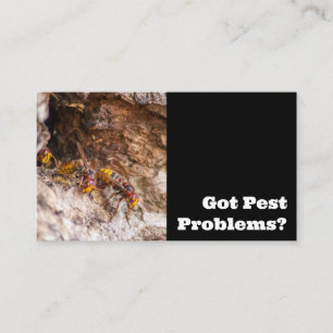 Carte De Visite Exterminateur de parasites pour guêpes à cornets l