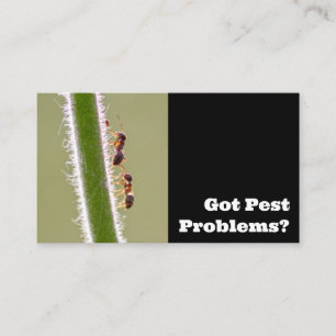 Carte De Visite Exterminateur de parasites pour les fourmis termit