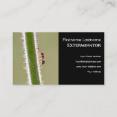 Carte De Visite Exterminateur de parasites pour les fourmis termit (Dos)