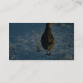 Carte De Visite Faisan à cou cerf (Dos)