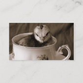 Carte De Visite Faisées et poules (Dos)