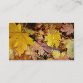 Carte De Visite Fallen Maple Feuille Jaune Automne Nature (Dos)