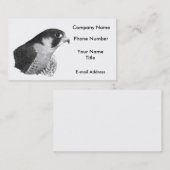 Carte De Visite Faucon-Crayon pérégrin (Devant / Derrière)