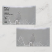 Carte De Visite Faucon de Galapagos (Devant / Derrière)