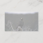 Carte De Visite Faucon de Galapagos (Dos)