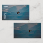 Carte De Visite Faucon pèlerin (Devant / Derrière)