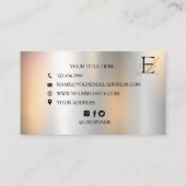 Carte De Visite Faux Silver Metallic Élégant Unique (Dos)