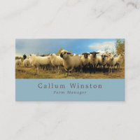 Ferme à moutons, Fermier et Boucher