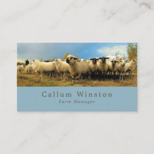 Carte De Visite Ferme à moutons, Fermier et Boucher
