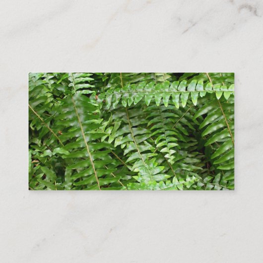 Carte De Visite Fermer Fronds I Green Nature (Dos)