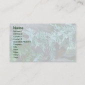 Carte De Visite Fermes à Philadelphie (Devant)