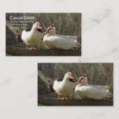 Carte De Visite Fermes du Ciel de Muscovy (Devant / Derrière)