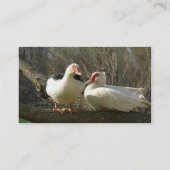 Carte De Visite Fermes du Ciel de Muscovy (Dos)