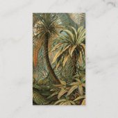 Carte De Visite Ferns Palm Tree Antiquité Botanique Ferns Art (Dos)