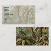 Carte De Visite Ferns Palm Tree Antiquité Botanique Ferns Art (Devant / Derrière)