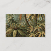 Carte De Visite Ferns Palm Tree Antiquité Botanique Ferns Art (Dos)