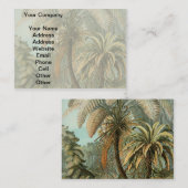 Carte De Visite Ferns Palm Tree Antiquité Botanique Ferns Art (Devant / Derrière)