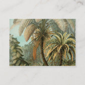 Carte De Visite Ferns Palm Tree Antiquité Botanique Ferns Art (Dos)