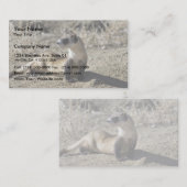 Carte De Visite Ferret à pied noir (captif) (Devant / Derrière)