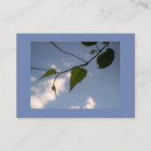 Carte De Visite Feuillage vert dans le ciel bleu (Devant)