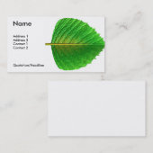 Carte De Visite feuille (Devant / Derrière)