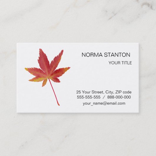 Carte De Visite Feuille d'automne simple rouge (Devant)