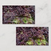 Carte De Visite feuille de laitue hydroponique (Devant / Derrière)