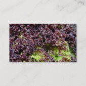 Carte De Visite feuille de laitue hydroponique (Dos)