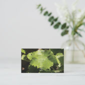 Carte de visite Feuille de raisins (Debout devant)