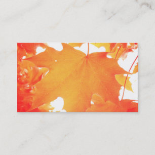 Carte De Visite Feuille d'érable teintée orange
