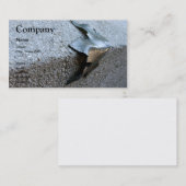 Carte De Visite Feuille en métal (Devant / Derrière)