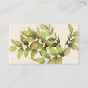 Carte de visite Feuille vert