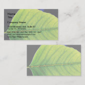 Carte De Visite Feuille vert de feuille (Devant / Derrière)