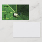 Carte De Visite Feuille verte (Devant / Derrière)