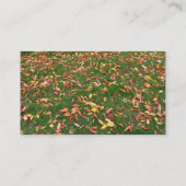 Carte de visite Feuilles d'automne (Dos)