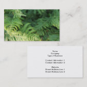 Carte De Visite Feuilles de fougère (Devant / Derrière)