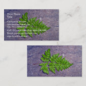 Carte De Visite Feuilles de fougères fraîches isolées (Devant / Derrière)