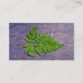 Carte De Visite Feuilles de fougères fraîches isolées (Dos)
