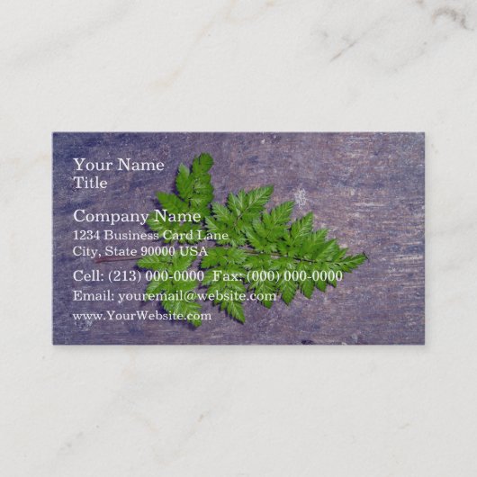 Carte De Visite Feuilles de fougères fraîches isolées (Devant)