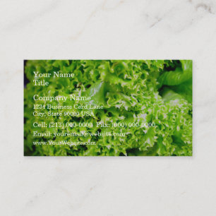 Carte De Visite feuilles de laitue hydroponique verte
