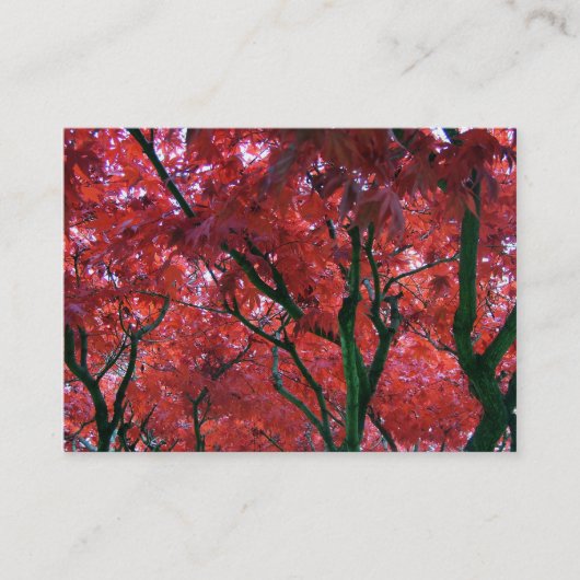 Carte De Visite feuilles d'érable rouges d'automne (Devant)
