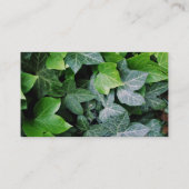 Carte De Visite Feuilles inactifs (Dos)