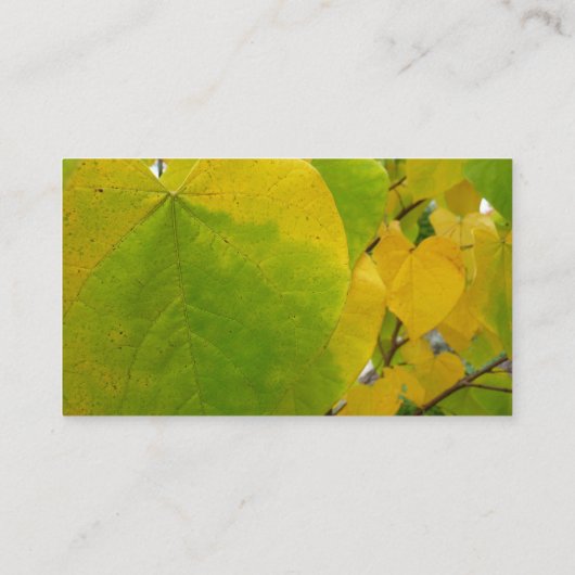 Carte De Visite Feuilles rouges jaunes et verts (Dos)
