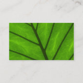 Carte De Visite Feuilles verts, Feuille, Plante, fleuriste, Boutiq (Dos)