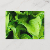 Carte De Visite Feuilles verts, Feuille, Plante, fleuriste, Boutiq (Dos)