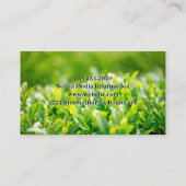 Carte De Visite Feuilles verts | Logo de la ferme (Dos)