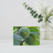Carte De Visite Figues (Debout devant)
